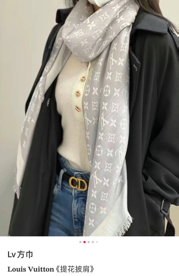 Louis Vuitton Scarf LVC00604